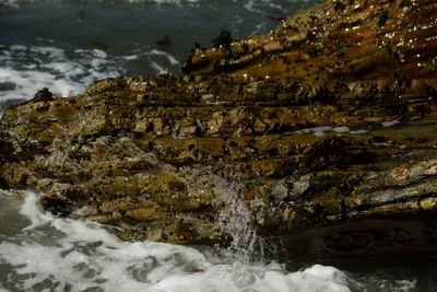 DSC_2580 (Large).JPG